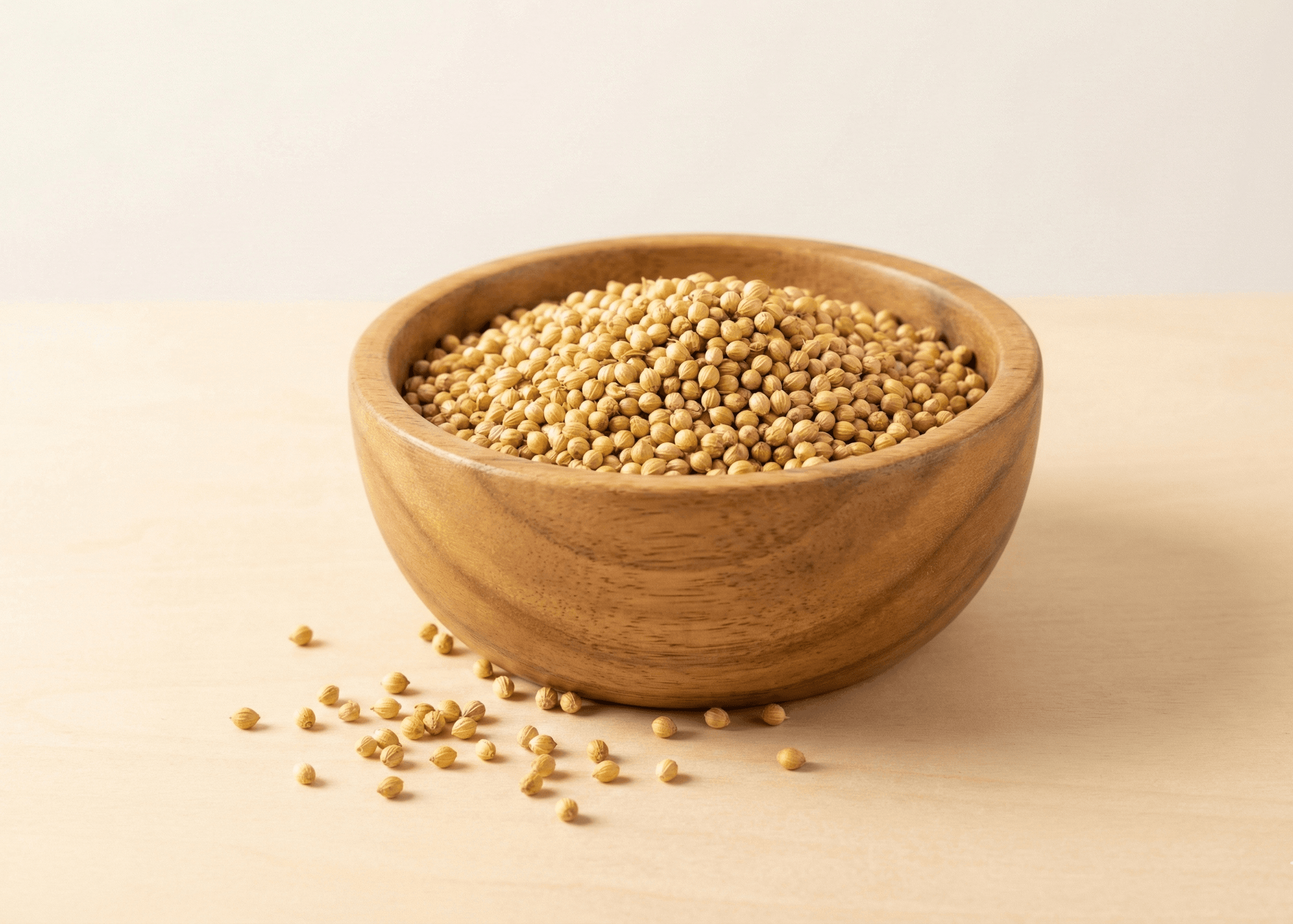 Coriander Seeds - Indian Spices Export | VB Exports